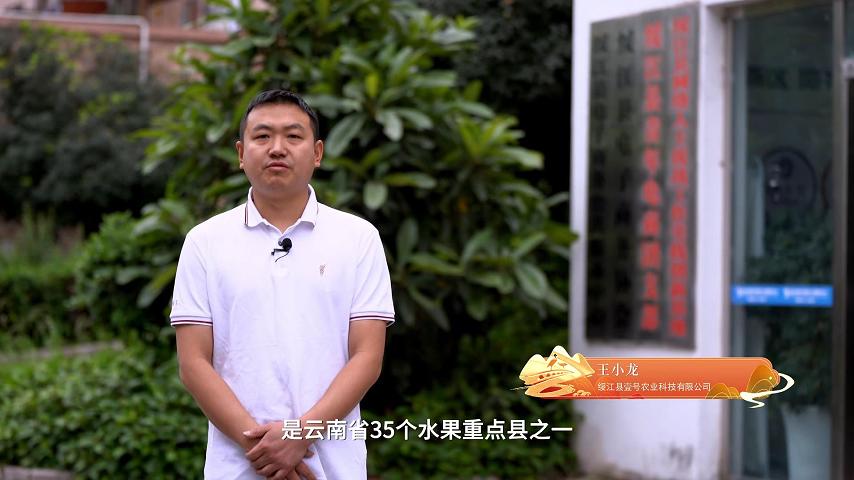 特色农业-壹号新型电商综合助农项目