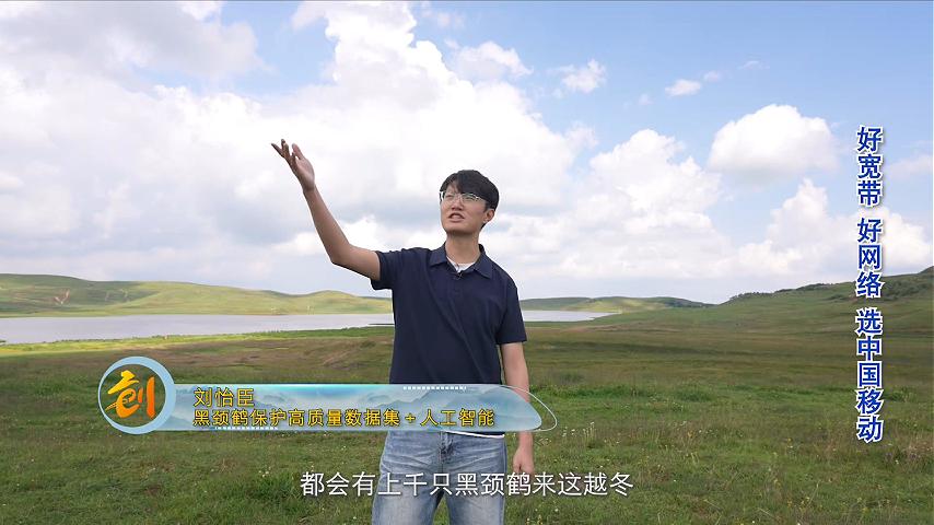 刘怡臣-黑颈鹤保护高质量数据集＋人工智能