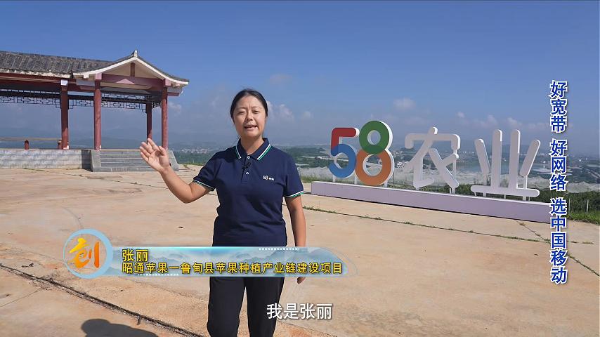 张丽-昭通苹果—鲁甸县苹果种植产业链建设项目