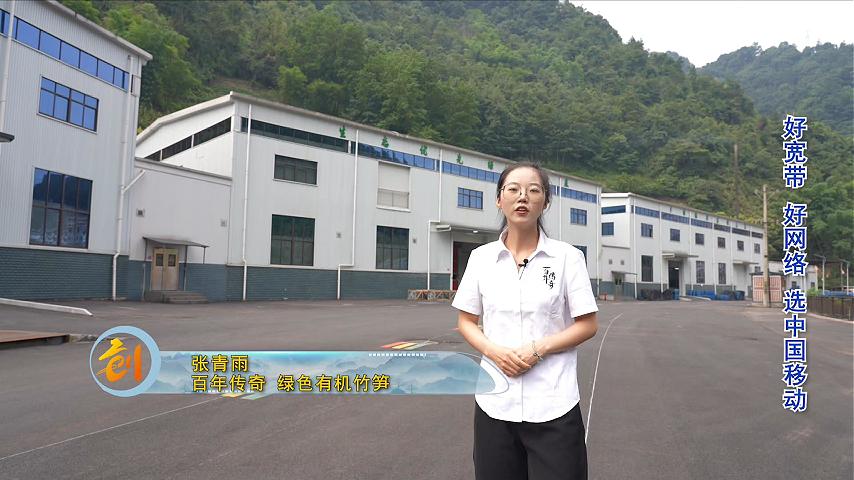 张青雨-百年传奇·绿色有机竹笋
