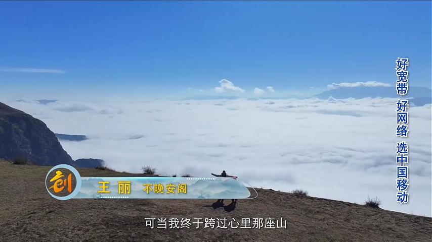 王丽-不晚安阁